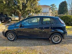 Blu Usata 2011 Fiat Punto Evo Due volumi | 2300 € (Ottimo prezzo)