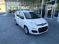 Bianco pastello Nuova 2025 Fiat Grande Panda Icon Due volumi | 13.750 € (Buon prezzo)