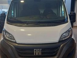 Bianco Usata 2023 Fiat Ducato 33 Furgone | 18.990 € (Buon prezzo)