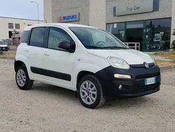 Bianco / pastello Usata 2014 Fiat Panda 4x4 Pop Due volumi | 6950 € (Buon prezzo)