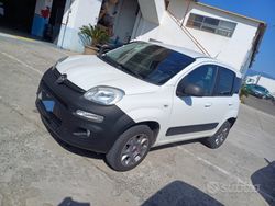 Bianco Usata 2016 Fiat Panda Due volumi | 8500 € (Buon prezzo)