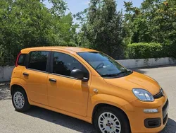 Usata 2020 Fiat Panda Easy Due volumi | 9000 € (Ottimo prezzo)