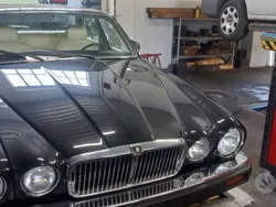 Nero Usata 1982 Jaguar XJ6 Tre volumi | 12.800 €