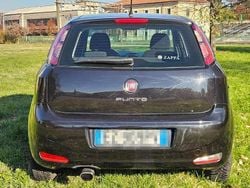 Usata 2015 Fiat Punto Lounge Tre volumi | 6500 € (Cara)