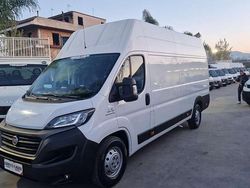 Bianco Usata 2020 Fiat Ducato Furgone | 14.900 € (Ottimo prezzo)