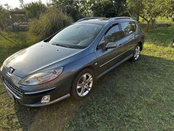 Blu/azzurro Usata 2005 Peugeot 407 Sport Station wagon | 4000 € (Molto cara)