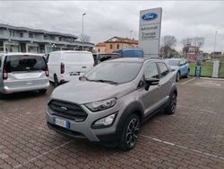 Grigio metallizzato Usata 2021 Ford Ecosport Active SUV | 12.900 € (Buon prezzo)