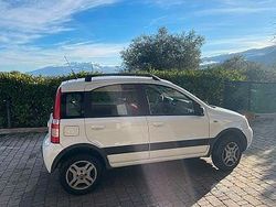Bianco Usata 2003 Fiat Panda 4x4 Due volumi | 3500 € (Cara)