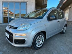 Grigio Usata 2014 Fiat Panda Lounge Tre volumi | 7500 € (Cara)