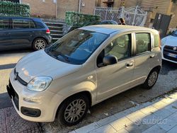 Bianco Usata 2016 Fiat Panda Due volumi | 5900 € (Buon prezzo)