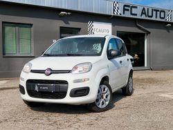 Bianco Usata 2016 Fiat Panda Easy Due volumi | 6800 € (Cara)