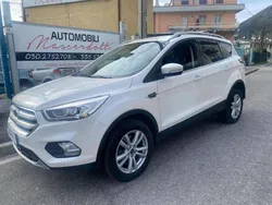 Bianco perlato originale metallizzato Usata 2019 Ford Kuga S SUV | 10.997 € (Super prezzo)