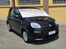 Nero Usata 2023 Fiat Panda S Due volumi | 12.490 € (Buon prezzo)