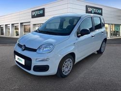 Bianco Usata 2021 Fiat Panda S Due volumi | 10.450 € (Buon prezzo)