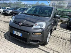 Grigio Usata 2022 Fiat Panda S Due volumi | 10.990 € (Buon prezzo)