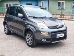 Grigio Usata 2018 Fiat Panda 4x4 S Due volumi | 12.500 € (Buon prezzo)