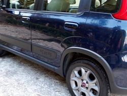 Usata 2013 Fiat Panda 4x4 Due volumi | 8500 € (Cara)