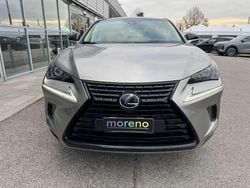 Grigio Usata 2019 Lexus NX300h Sport Line SUV | 28.990 € (Buon prezzo)