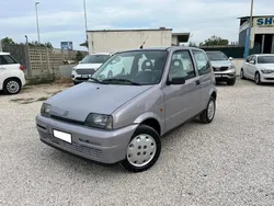 Viola Usata 1995 Fiat Cinquecento S Due volumi | 1800 €