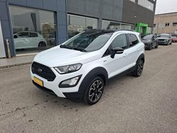 Bianco Usata 2022 Ford Ecosport Active SUV | 16.900 € (Cara)