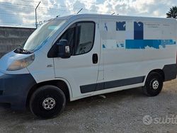 Bianco Usata 2009 Fiat Ducato Furgone | 4000 € (Ottimo prezzo)