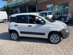 Bianco Usata 2020 Fiat Panda 4x4 Due volumi | 9000 € (Super prezzo)