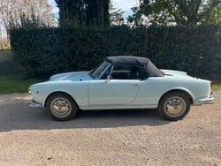Blu Usata 1962 Alfa Romeo Giulia Spider Cabrio | 75.000 €
