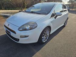 Usata 2017 Fiat Punto Lounge Tre volumi | 5499 € (Ottimo prezzo)