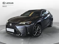 Grigio Usata 2024 Lexus UX 300e SUV | 32.800 €