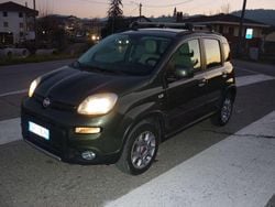 Verde Usata 2013 Fiat Panda 4x4 Due volumi | 7150 € (Buon prezzo)