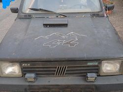 Usata 1993 Fiat Panda 4x4 Trekking Due volumi | 2500 €