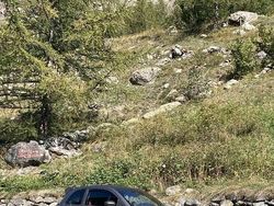 Usata 2017 Abarth 595 70th Anniversary | 19.000 € (Cara)