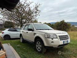 Bianco Usata 2010 Land Rover Freelander 2 SUV | 6500 € (Buon prezzo)