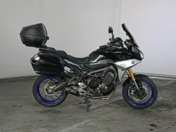 Grigio Usata 2019 AC Ace | 7900 €