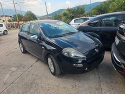 Blu Usata 2015 Fiat Punto Lounge Due volumi | 4950 € (Cara)