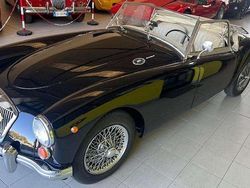 Blu Usata 1962 MG 1600 Cabrio | 36.500 €