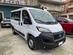 Bianco Usata 2022 Fiat Ducato Furgone | 23.000 € (Cara)
