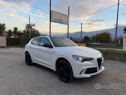 Bianco Usata 2021 Alfa Romeo Stelvio Quadrifoglio SUV | 55.900 € (Cara)