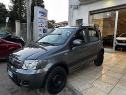 Grigio Usata 2012 Fiat Panda 4x4 Climbing Due volumi | 7600 € (Cara)