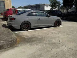 Usata 2017 Audi RS5 Exclusive Coupé | 46.000 € (Molto cara)