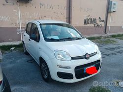 Bianco Usata 2017 Fiat Panda Due volumi | 7000 € (Super prezzo)