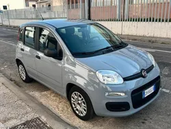 Usata 2021 Fiat Panda Easy Due volumi | 9000 € (Ottimo prezzo)