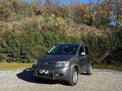 Grigio Usata 2010 Fiat Panda 4x4 Due volumi | 6700 € (Cara)