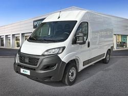 Bianco Usata 2024 Fiat Ducato 33 Furgone | 24.500 € (Cara)