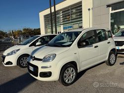 Bianco Usata 2019 Fiat Panda Easy Tre volumi | 8900 € (Buon prezzo)