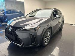 Sonic grey Nuova 2025 Lexus UX 300h SUV | 37.900 € (Cara)