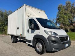 Bianco Usata 2016 Fiat Ducato Furgone | 14.800 €