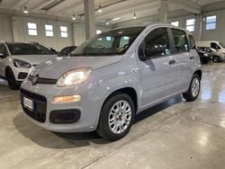 Grigio Usata 2019 Fiat Panda Easy Due volumi | 7900 € (Ottimo prezzo)
