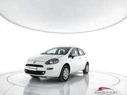 Bianco Usata 2013 Fiat Punto Street Due volumi | 1900 € (Super prezzo)