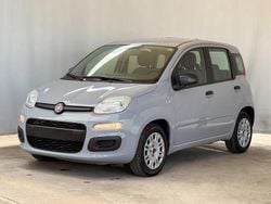 Grigio Usata 2022 Fiat Panda Due volumi | 7900 € (Ottimo prezzo)